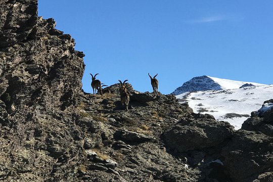 Tour image 4