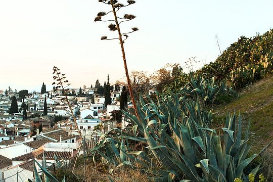 Tour image 6