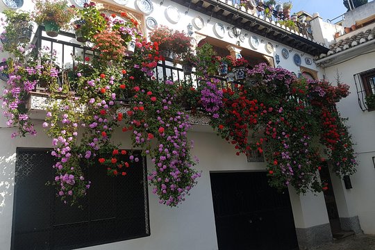 Tour image 10