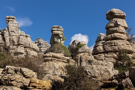 Tour image 1