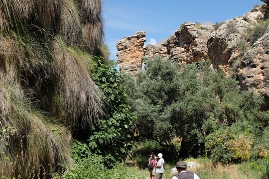 Tour image 11