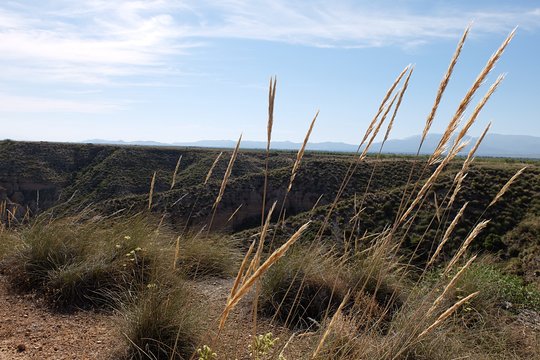 Tour image 14