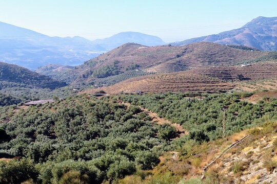 Tour image 6