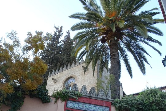 Tour image 6